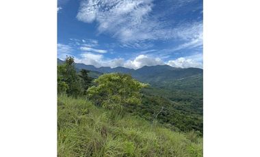 EN.VENTA FINCA DE 3Ha + Jaramillo.abajo