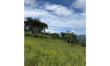 EN.VENTA FINCA DE 3Ha + Jaramillo.abajo