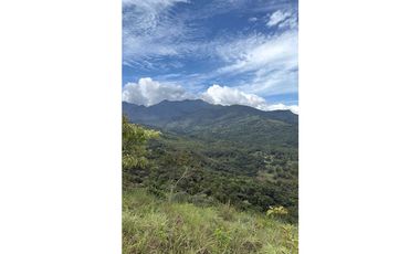 EN.VENTA FINCA DE 3Ha + Jaramillo.abajo