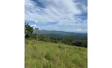 EN.VENTA FINCA DE 3Ha + Jaramillo.abajo