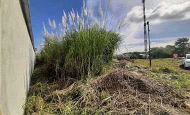 VENDO TERRENO EN LA CHORRERA MASTRANTO LOMA 1200MTS