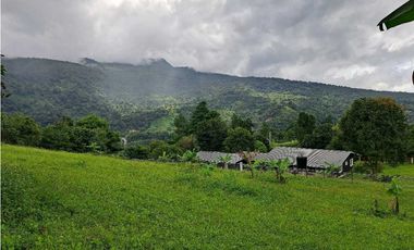 VENDO.LOTE DE 3492MTS EL SALTO