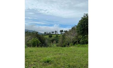 VENDO.LOTE DE 3492MTS EL SALTO