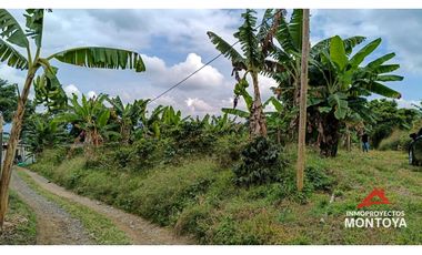 Lote en Arabia, Pereira