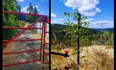 Parcela en venta en SANTA JUANA