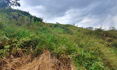 VENDO LOTE EN COPACABANA⁣ PARA CONSTRUIR TU CASA CAMPESTRE CERCA A LA CIUDAD