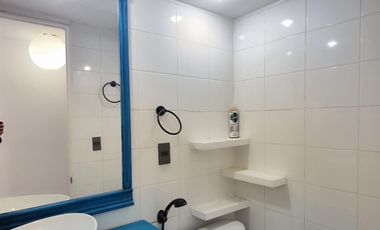 Ambplio Departamento Arriendo De 2 Dorm. En Santiago