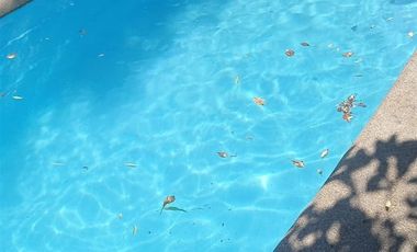 Casa En Amplio Terreno Con 4 Dorm. San Joaquín.