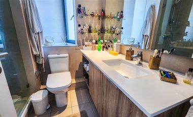 Amoblado 2 Dorm. 2bñ Vista Mall Parque Araucano