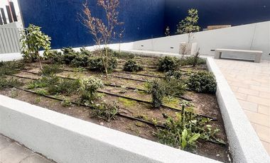 Departamento Nuevo Estilo Mariposa Arriendo