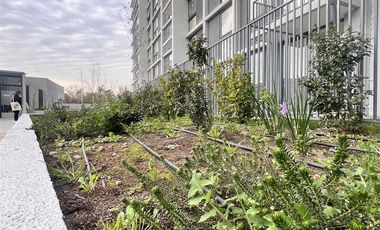 Departamento Nuevo Estilo Mariposa Arriendo