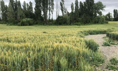 Terreno En Comuna De Retiro, Región Del Maule