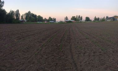Terreno En Comuna De Retiro, Región Del Maule