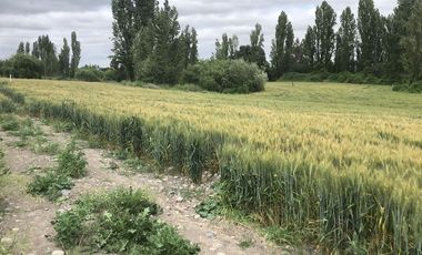Terreno En Comuna De Retiro, Región Del Maule