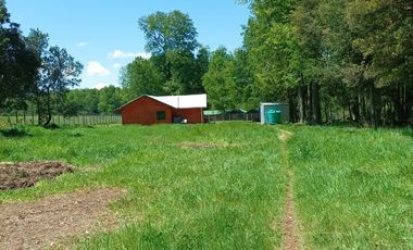 Parcela 5000mt2 con Casa Venta sólo 20 minutos de Villarrica