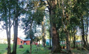 Parcela 5000mt2 con Casa Venta sólo 20 minutos de Villarrica