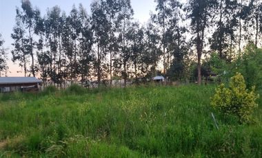 Parcela Con Casa 4 Dorm. 2 Baños En Venta En Linares