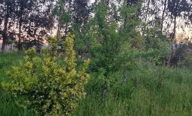 Parcela Con Casa 4 Dorm. 2 Baños En Venta En Linares