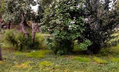 Parcela En Venta, Casa De 3 Dorm. En Longaví