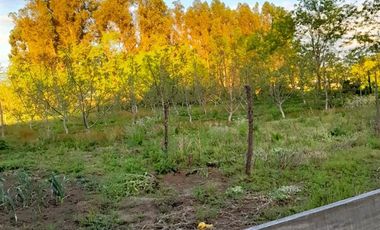 Parcela En Venta, Casa De 3 Dorm. En Longaví