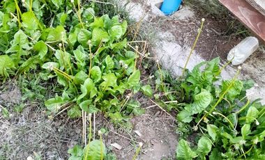 Parcela En Venta, Casa De 3 Dorm. En Longaví