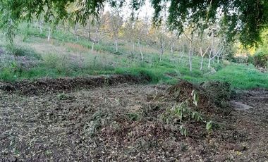 Parcela En Venta, Casa De 3 Dorm. En Longaví