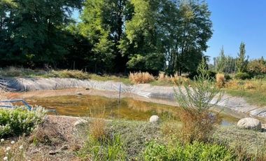 Venta Parcela Con Hermosa Casa De 3 Dorm. En Yerbas Buenas