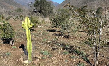 Casa Nueva En Venta De 2 Dorm. En Cabildo