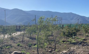 Casa Nueva En Venta De 2 Dorm. En Cabildo