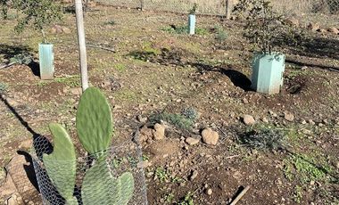 Casa Nueva En Venta De 2 Dorm. En Cabildo