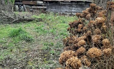 Casa En Venta De 5 Dorm. En Puyehue