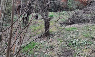 Casa En Venta De 5 Dorm. En Puyehue