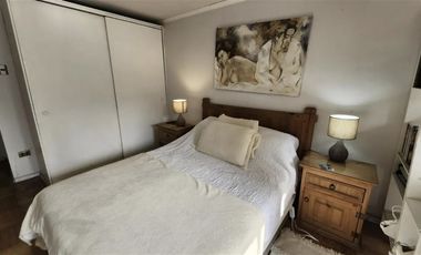 Amplio Departamento 4 Dorm 3 Baños En Providencia Terraza