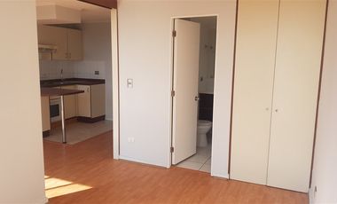 Departamento En Venta De 1 Dorm. En Santiago