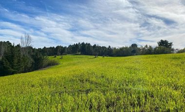 Parcela 5 Hectareas En Venta Incluye Casa 3d 2b Portezuelo