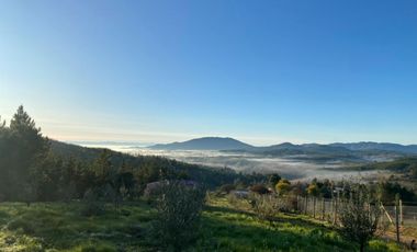 Parcela 5 Hectareas En Venta Incluye Casa 3d 2b Portezuelo