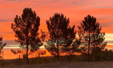 Parcela 5 Hectareas En Venta Incluye Casa 3d 2b Portezuelo