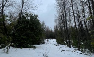 Parcela En Venta En Coihueco, Ñuble