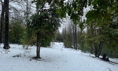 Parcela En Venta En Coihueco, Ñuble