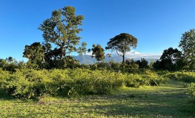 Terreno Construccion En Venta En Pucón