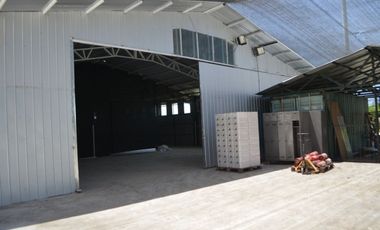 En Venta Bodega Industrial En Lo Miranda Vi Region 5000 Mts