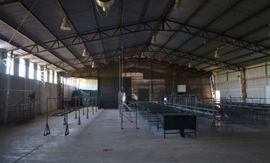 En Venta Bodega Industrial En Lo Miranda Vi Region 5000 Mts