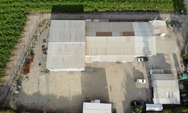 En Venta Bodega Industrial En Lo Miranda Vi Region 5000 Mts