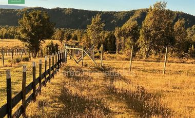 Parcela En Venta En Fresia Sector Rio Blanco