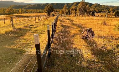 Parcela En Venta En Fresia Sector Rio Blanco