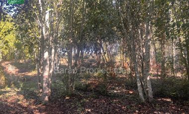 Parcela En Venta En Fresia Sector Rio Blanco