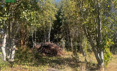 Parcela En Venta En Fresia Sector Rio Blanco