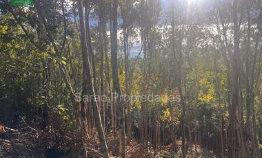 Parcela En Venta En Fresia Sector Rio Blanco