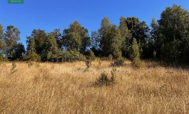 Parcela En Venta En Fresia Sector Rio Blanco