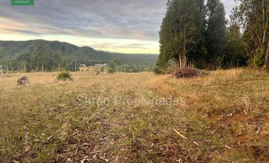 Parcela En Venta En Fresia Sector Rio Blanco